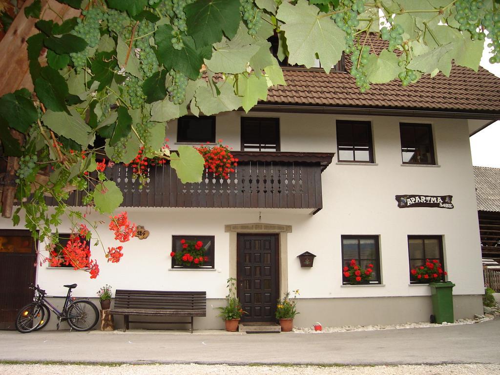 Apartment Cesar Bohinj Dış mekan fotoğraf